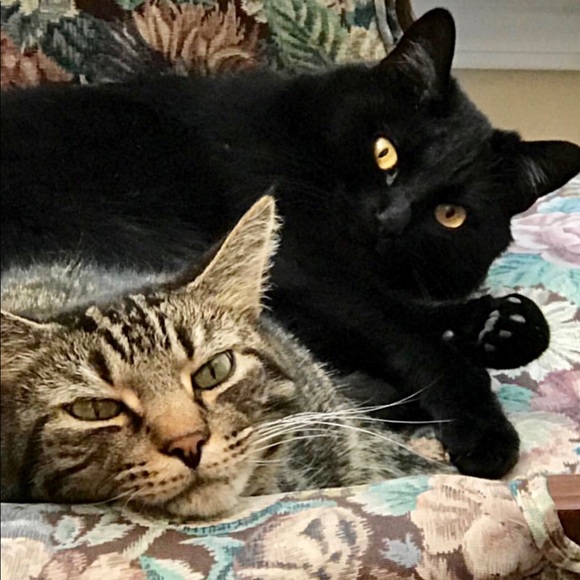 ♥️ - Picture 3 of 7